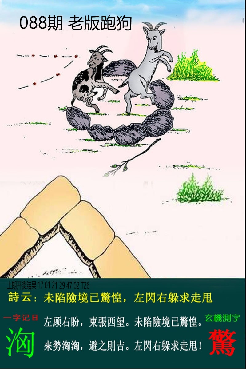 088期老板跑狗[图]